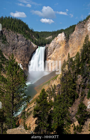 WY02098-00...WASHINGTON - Lower Falls in the Grand Canyon of the Yellowstone River in Yellowstone National Park. Stock Photo