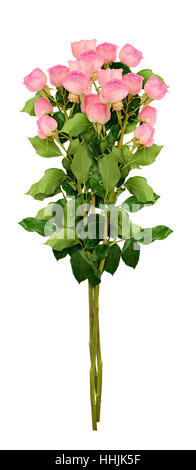 Small pink rose flowers bouquet isolated on white Stock Photo