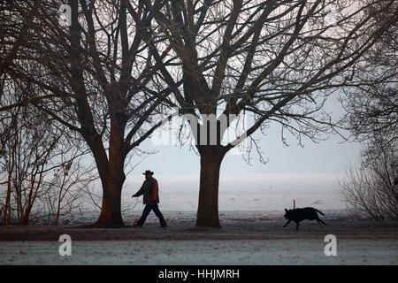 A dog walker makes their way through the trees along the banks of the River Great Ouse at Godmanchester on a frosty morning in Cambridgeshire. Stock Photo