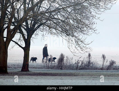 A dog walker makes their way through the trees along the banks of the River Great Ouse at Godmanchester on a frosty morning in Cambridgeshire. Stock Photo