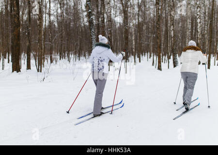 Athletes on skis in forest Stock Photo