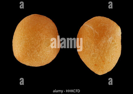 Ficus carica, Fig, Feige, seeds, close up, seed size 1.0-1.5 mm Stock Photo
