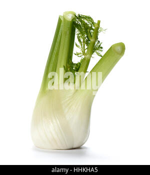 Fresh fennel bulb isolated on white background Stock Photo