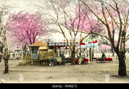 Japan, Yokohama. Vintage postcard hand coloured. Tea-house among the cherry blossoms in the park. Several people sitting on benches. Stock Photo