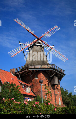 Windmill Aurora, Borstel, Altes Land, Lower Saxony, Germany, Europe Stock Photo