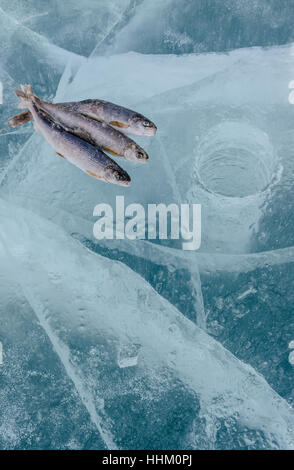 Winter fishing on the lake. Stock Photo