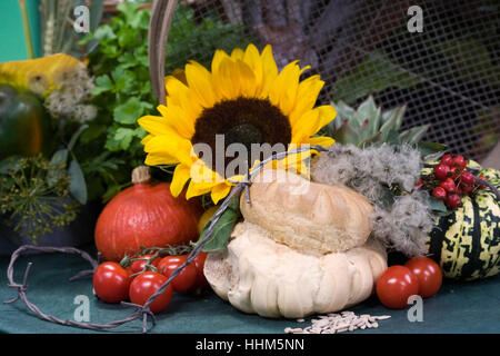 Harvest display. Stock Photo