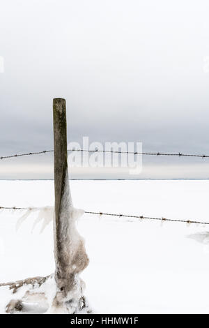 Snowy fence post with barbed wire Stock Photo - Alamy