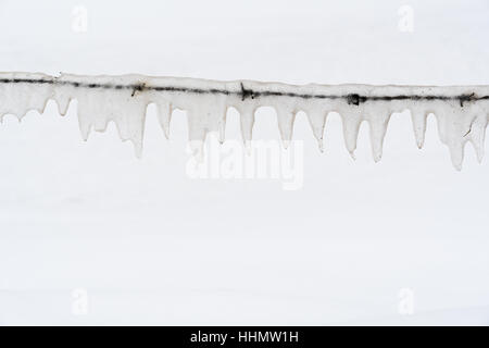 Ice covered barb wire by a snowy background Stock Photo