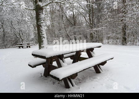 Snow covered benches and tables outdoors in a snowy forest Stock Photo