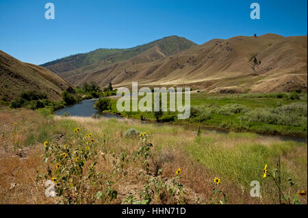 Peaceful valley where a smooth section of Panther Creek is surrounded by foothills of the Sawtooth Mountains with flowers bloomin Stock Photo