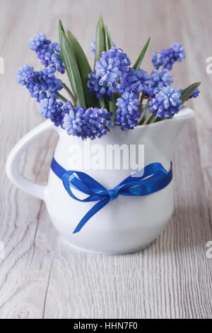 Gentle spring bouquet of blue muscari flowers in a jug on the table Stock Photo