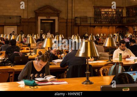 People studying in a reading room in the Central Building of the New York Public Library. Midtown Manhattan, New York City, USA. Stock Photo