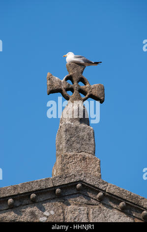 Porto: gull perched on the cross at the top of Sé do Porto, the Cathedral of the Old City Stock Photo