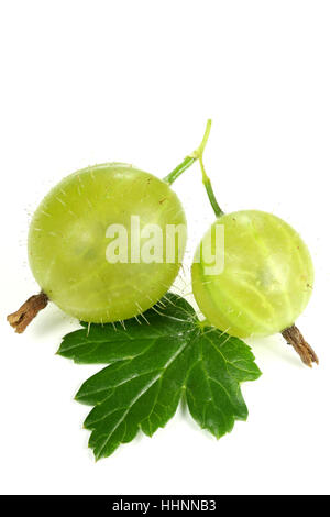 fresh picked gooseberries isolated on white background Stock Photo