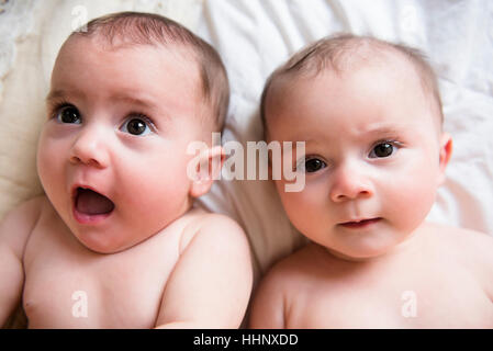 Surprised faces of Caucasian twin baby girls Stock Photo