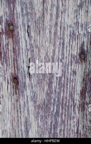 Shows woodgrain and three rusty nail heads and the other paint is blue underneath. Very worn and faded. Stock Photo