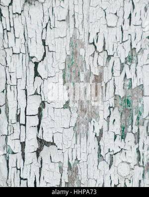 Thick white peeling cracked paint with green underneath.  On an old outbuilding on a farm. Stock Photo