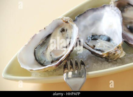 raw, seafood, oysters, meat, shells, mussels, natural, food, aliment, Stock Photo