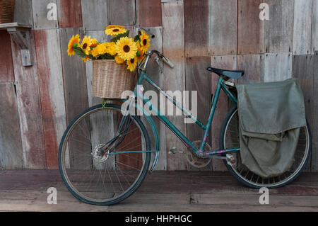 An old pedal bicycle, with a basket full of yellow flowers, leaning against the wooden wall in Nong Khai, Northeast Thailand. Stock Photo