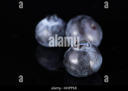 Three blueberries on black Stock Photo
