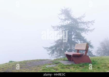 Winter fog obscures the view from a wooden park bench atop a hill on Gabriola Island, British Columbia. Stock Photo