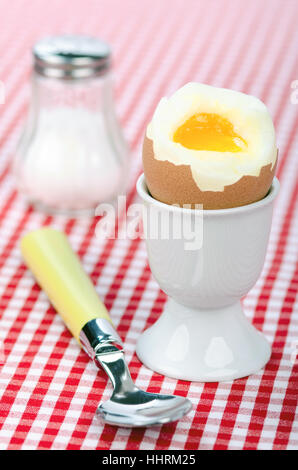 egg, egg cup, table cloth, chequered, red, food, breakfeast, breakfast, food, Stock Photo