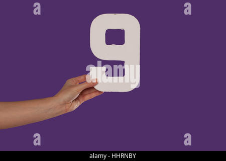 hand, data, informations, substratums, facts, information, knowledge, letter, Stock Photo