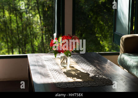 red ixora flower in vase on wood table and brown green sofa couch in living room near window with garden view Stock Photo