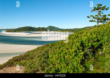Whitsunday Islands (Queensland Australia) Stock Photo