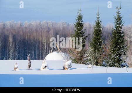 Beautiful landscape of winter to Siberia, beautiful, blue, russian, siberia, snow, the house, the sky, the village, the wood Stock Photo