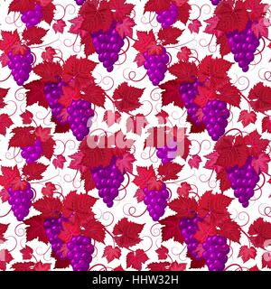 Seamless pattern with grapes. Violet grape with red leaves on white background. Stock Vector