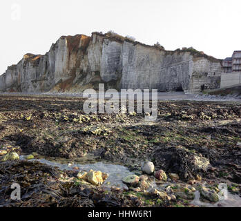 Cliffs and low tide during winter. Yport, Normandy, France Stock Photo