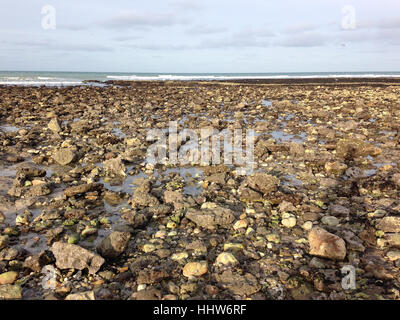 Rocky seacoast in Yport, Normandy, France Stock Photo
