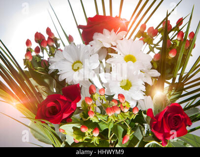 Bright bouquet with chamomiles and roses Stock Photo