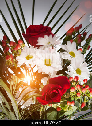 Bright bouquet with chamomiles and roses Stock Photo