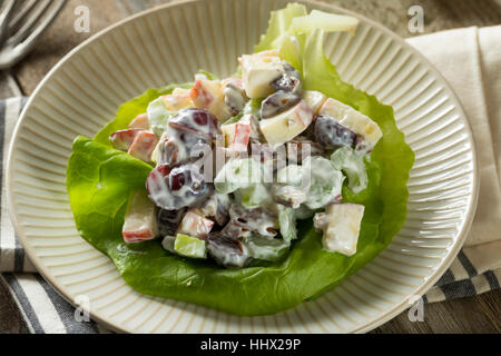 Homemade Fresh Waldorf Salad with Apples Grapes and Dressing Stock Photo