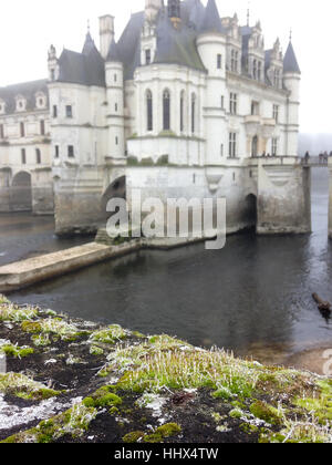 View on Chateau de Chenonceau in winter with moss on foreground. Stock Photo