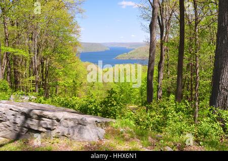 Allegheny National Forest, Pennsylvania Stock Photo