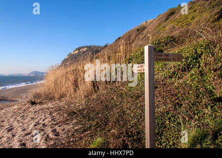 The shingle beach at Weston Mouth in East Devon, part of the South West Coastal Path. Stock Photo