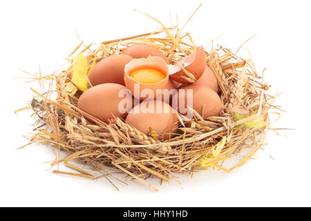 Chicken eggs in nest of straw. Isolated on white background. Stock Photo