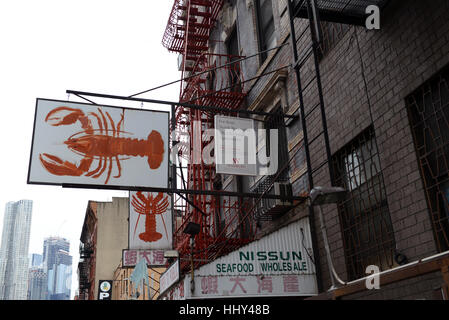 Vintage storefront sign, Chinatown, New York City. Stock Photo