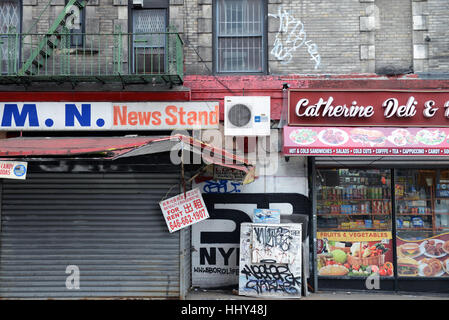 Vintage storefront sign, Chinatown, New York City. Stock Photo