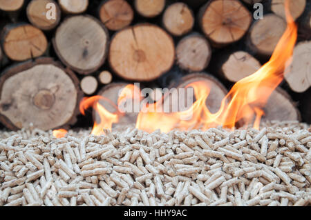 Burning Oak pellets in front a pile of woods Stock Photo