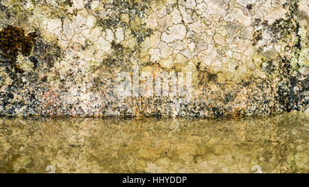 Natural background texture, lichen and moss growing on a stone with watersurface on lower one third Stock Photo