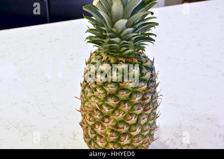 A whole pineapple on a white marble kitchen surface Stock Photo