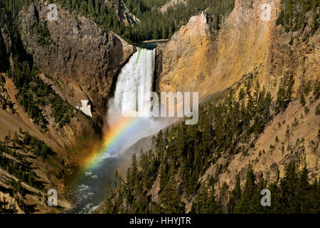 WYOMING - Rainbow below the Lower Falls in the Grand Canyon of the Yellowstone from Lookout Point in Yellowstone National Park. Stock Photo