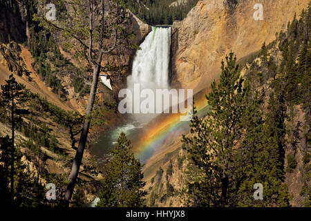 WYOMING - Rainbow at base of  Lower Falls in Grand Canyon of the Yellowstone from Red Rock Point in Yellowstone National Park. Stock Photo