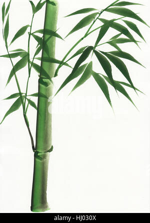 art, tree, leaves, painting, bamboo, lawn, green, foliage, plant, nature, leaf, Stock Photo