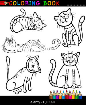 pet, illustration, cartoon, pussycat, cat, domestic cat, book, education, Stock Photo